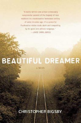 Beautiful dreamer : a novel /