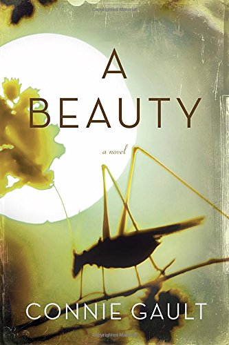 A beauty : a novel